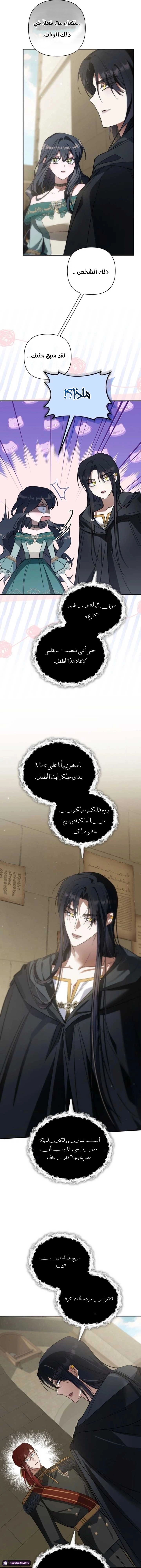 الصفحة 17