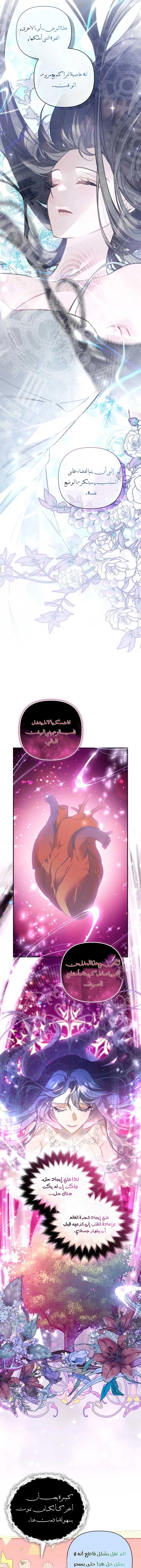 الصفحة 21