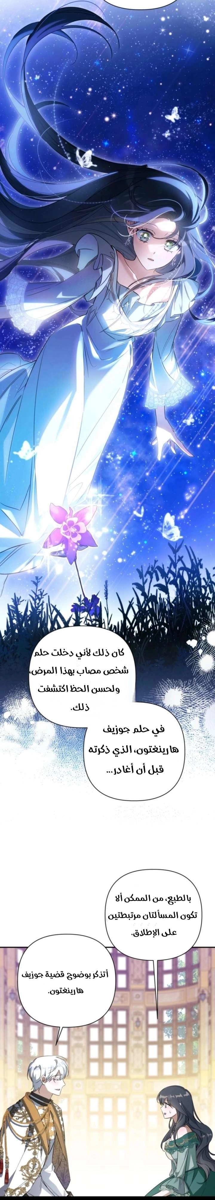 الصفحة 24