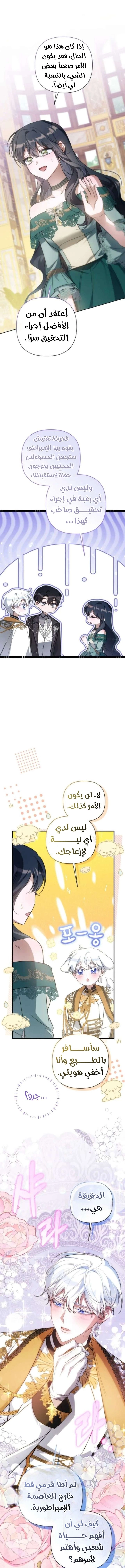 الصفحة 20