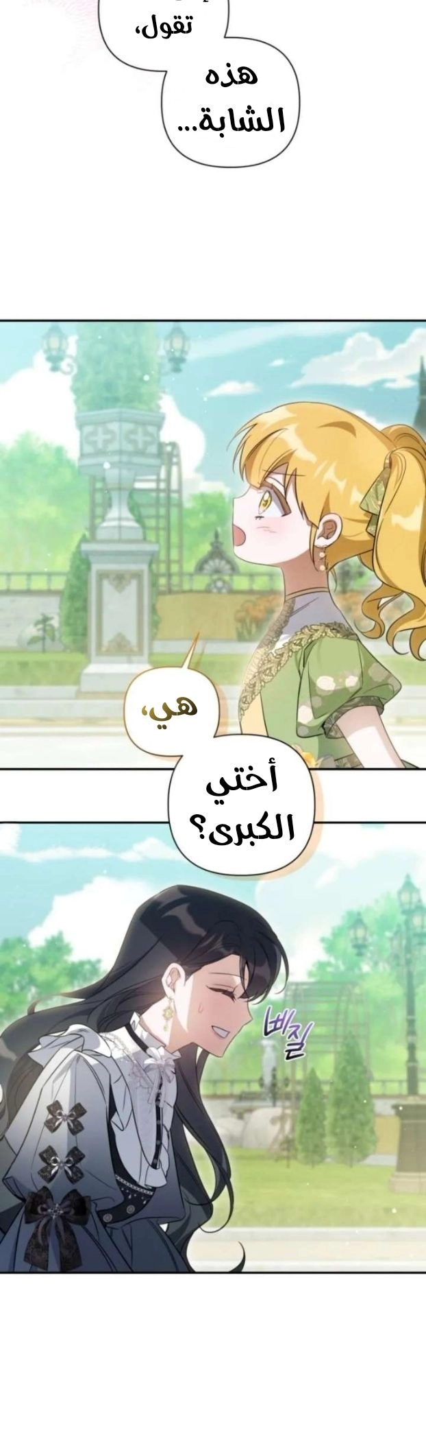 الصفحة 25