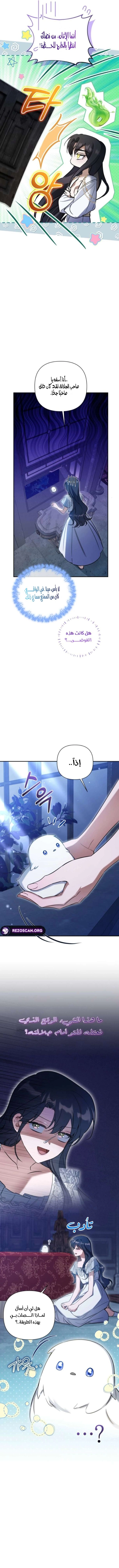 الصفحة 5