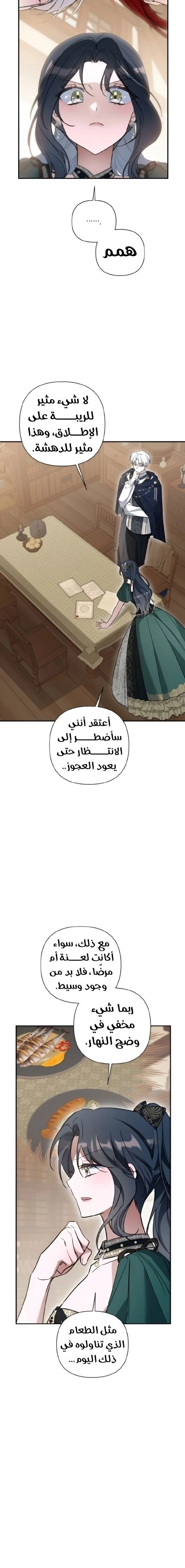 الصفحة 17