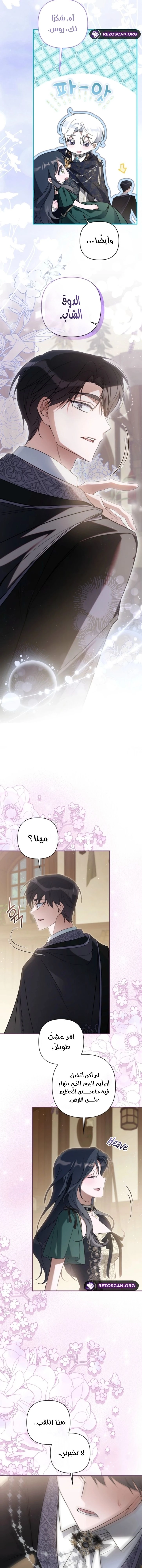 الصفحة 28
