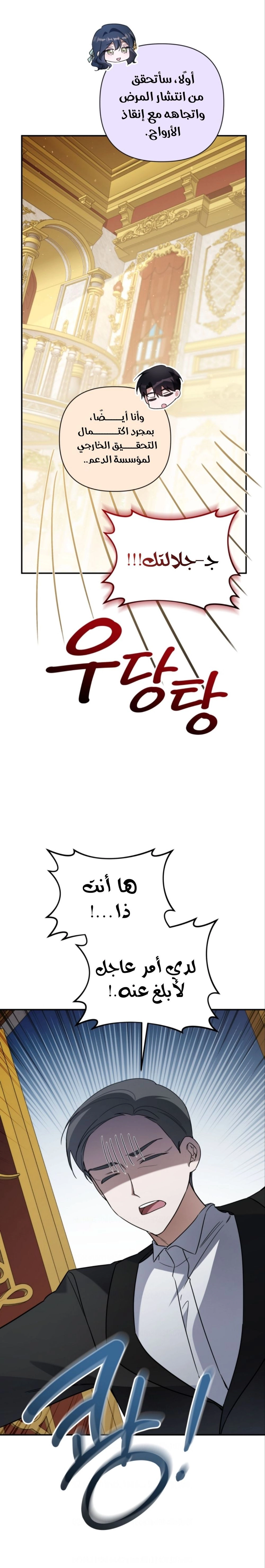 الصفحة 19