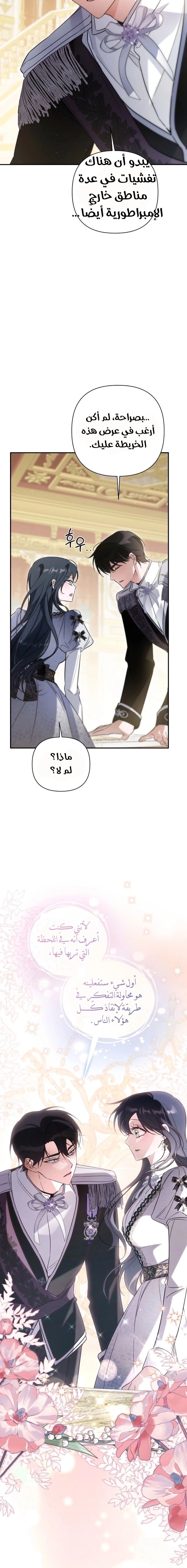 الصفحة 24