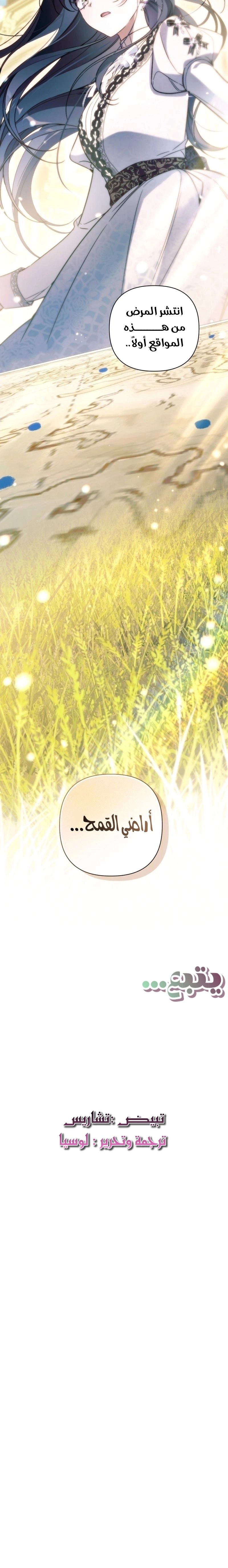 الصفحة 26