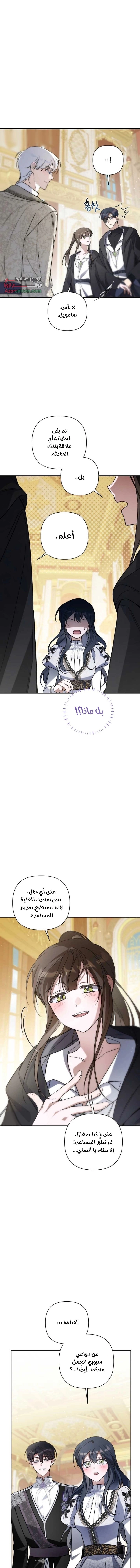 الصفحة 19