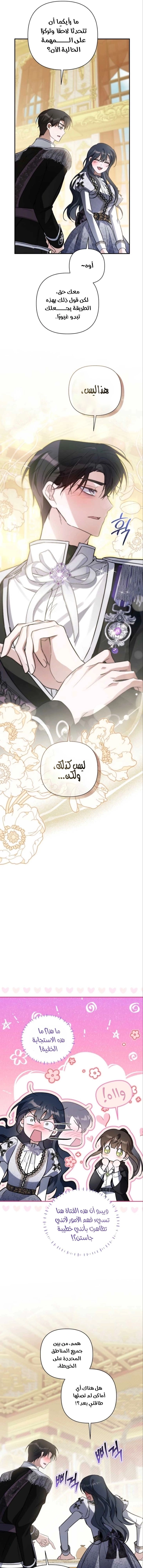 الصفحة 25
