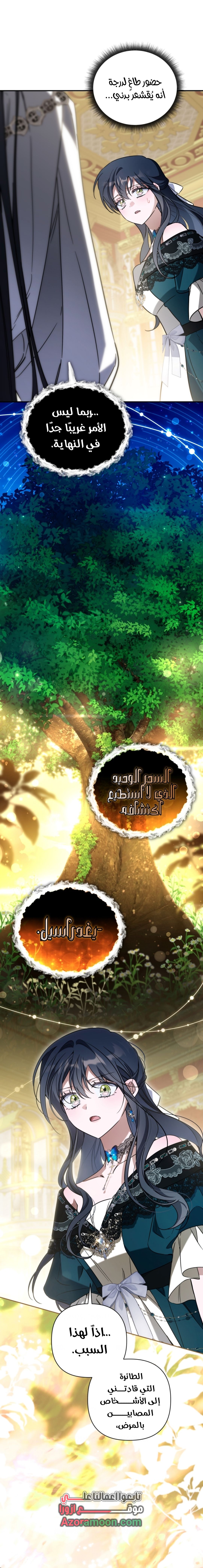 الصفحة 12