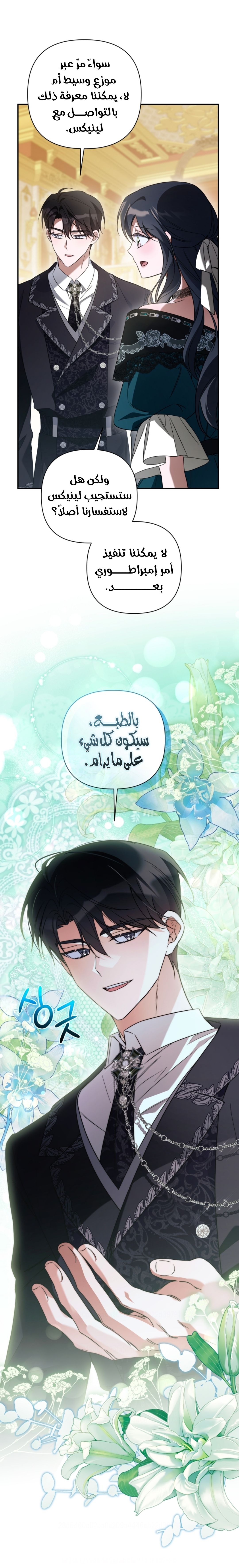 الصفحة 17