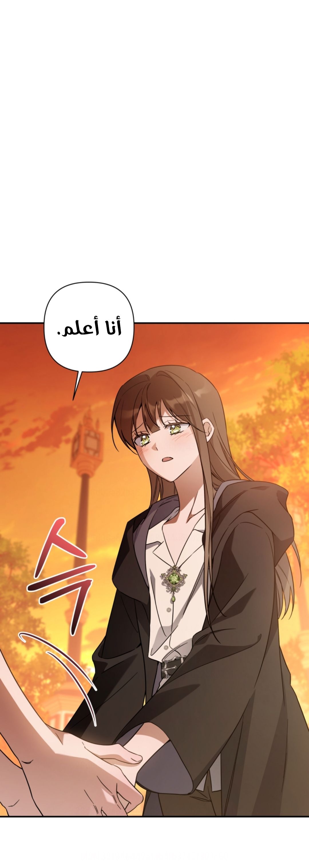الصفحة 25