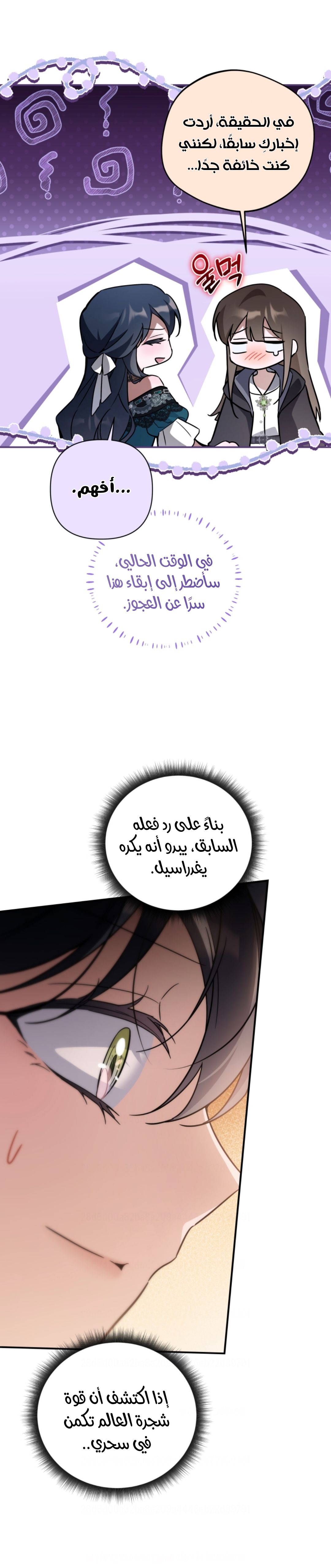 الصفحة 27