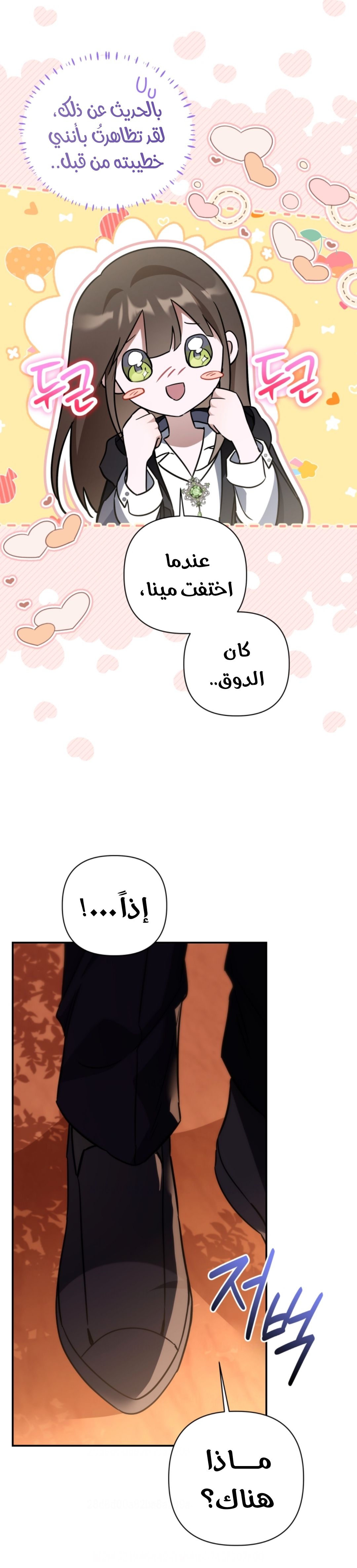 الصفحة 29