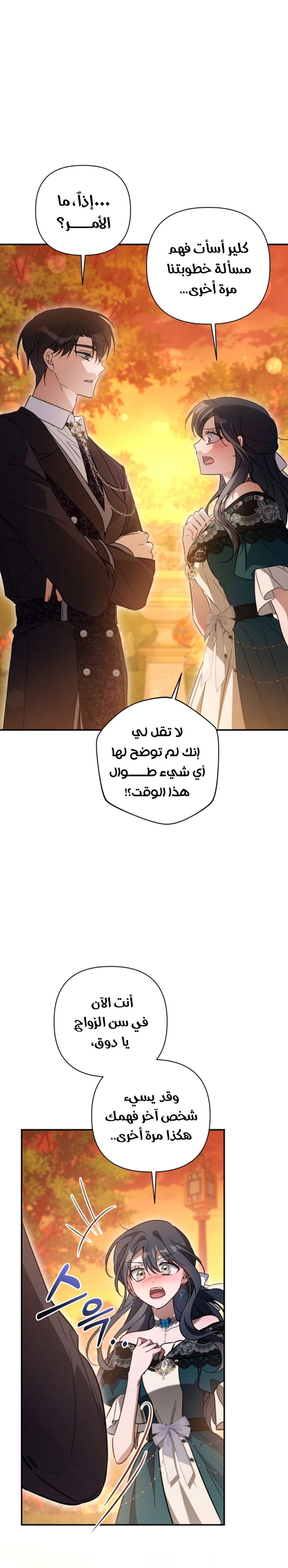 الصفحة 31