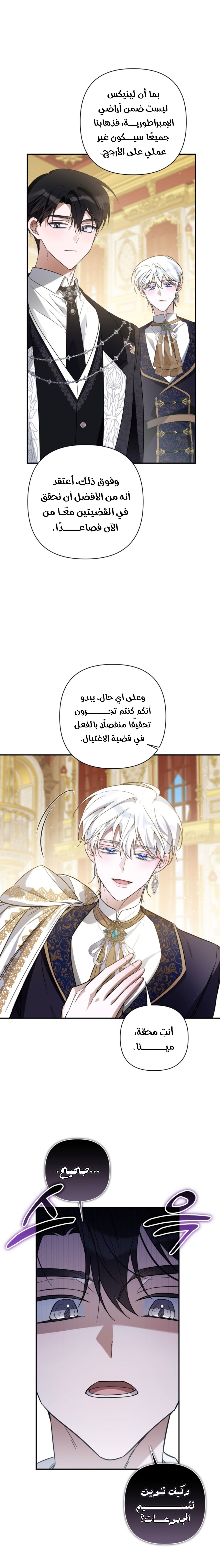 الصفحة 19