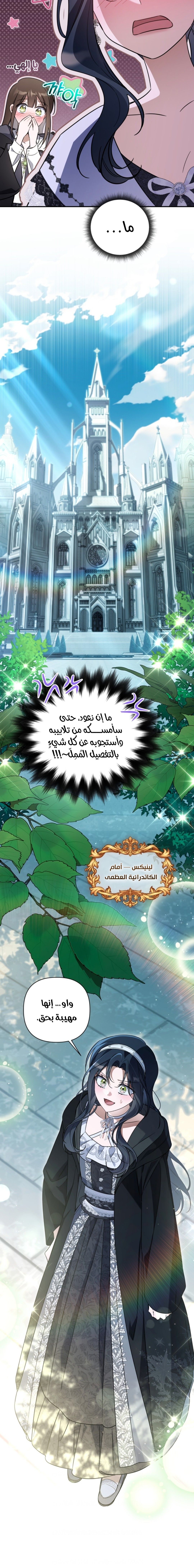 الصفحة 26