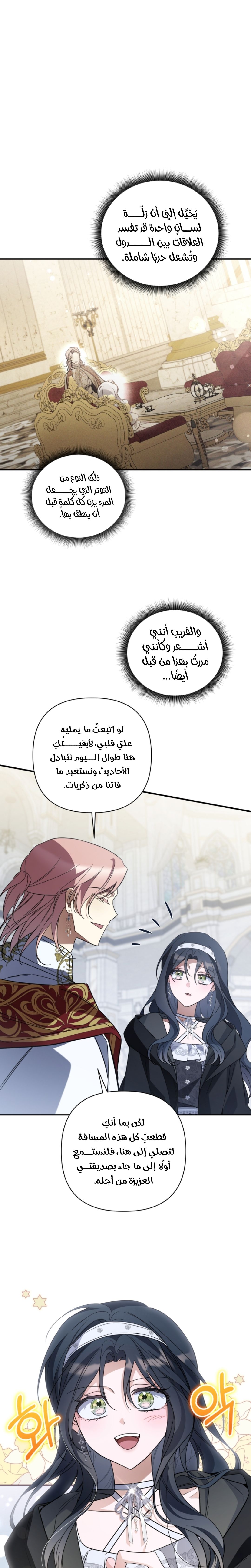 الصفحة 13