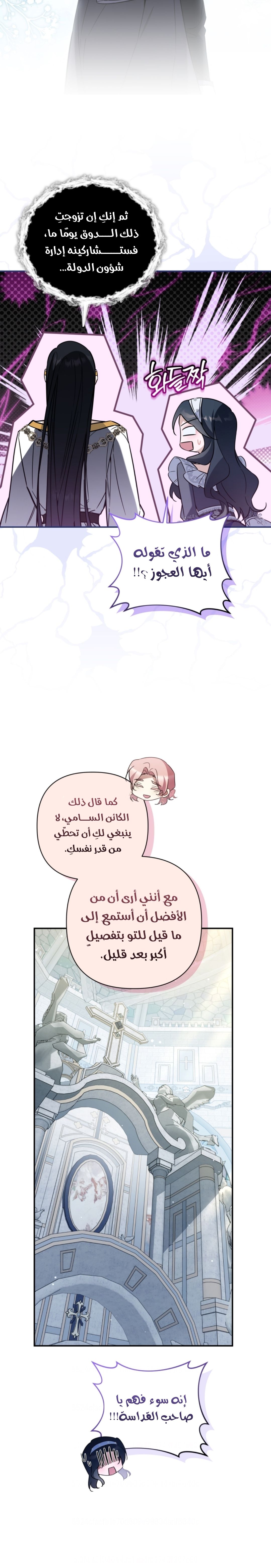 الصفحة 20