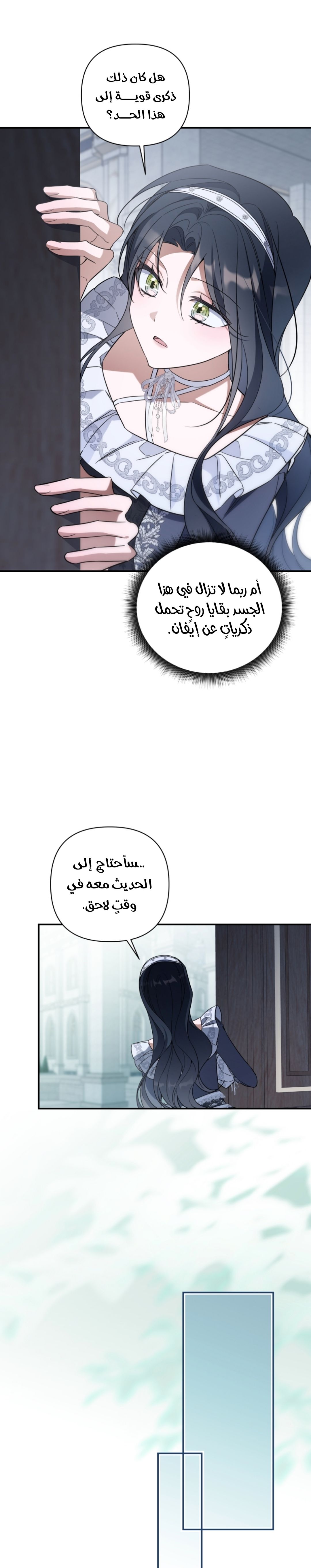 الصفحة 25