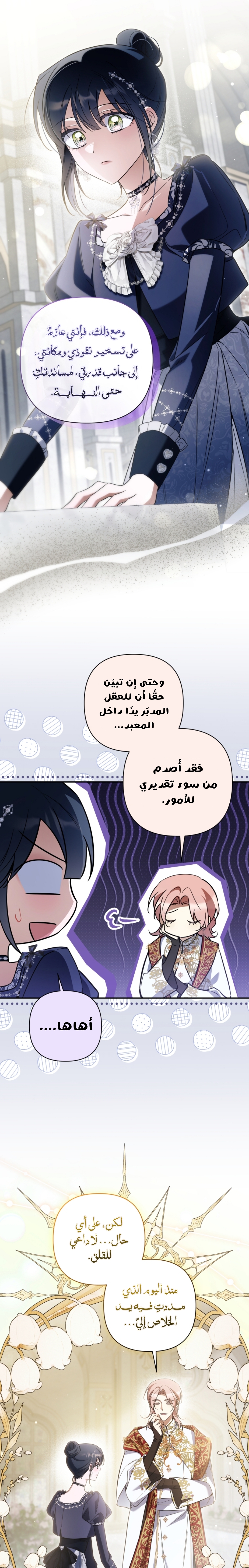 الصفحة 25