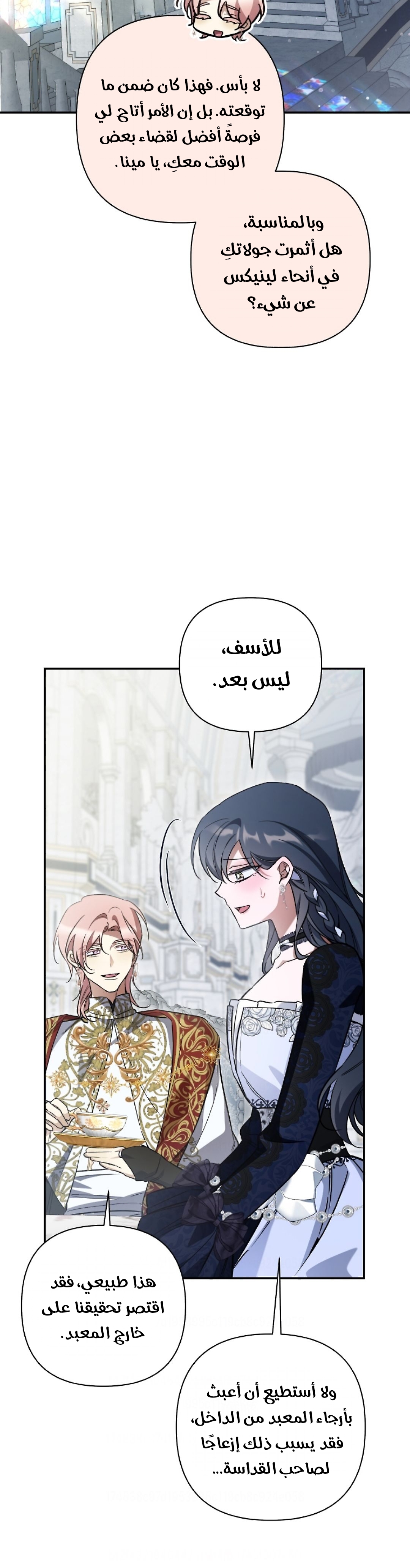 الصفحة 13