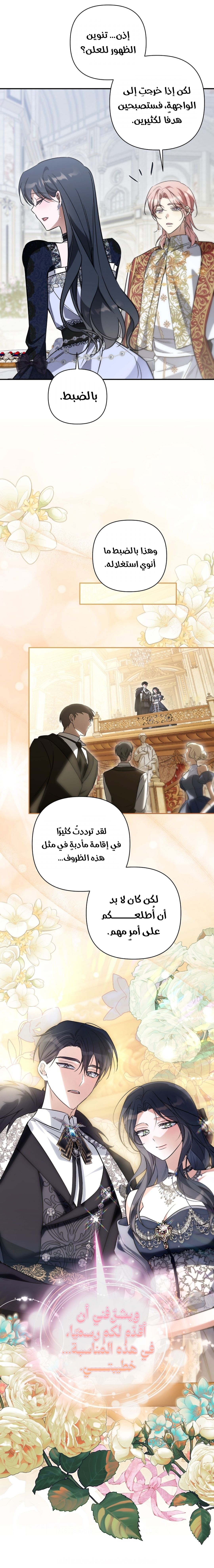 الصفحة 17