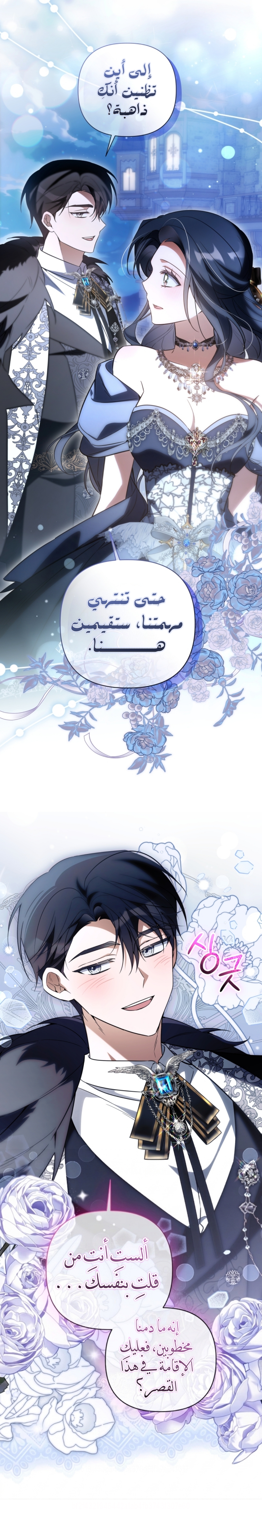 الصفحة 17