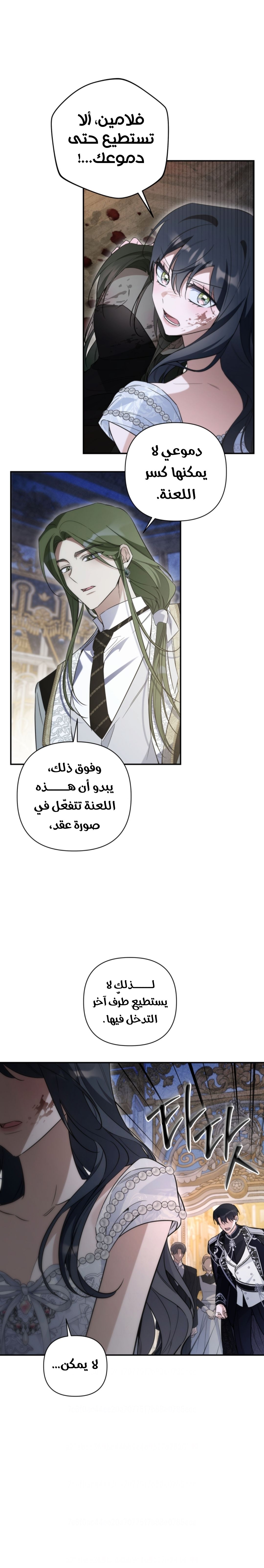 الصفحة 17