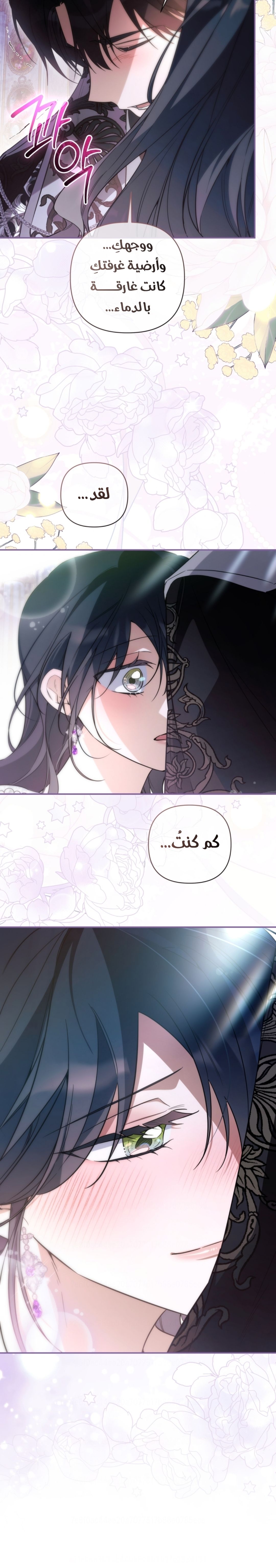 الصفحة 19