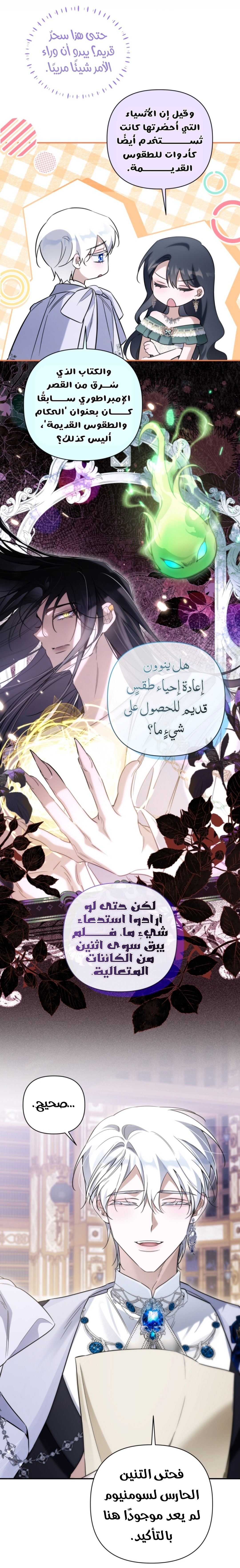 الصفحة 13