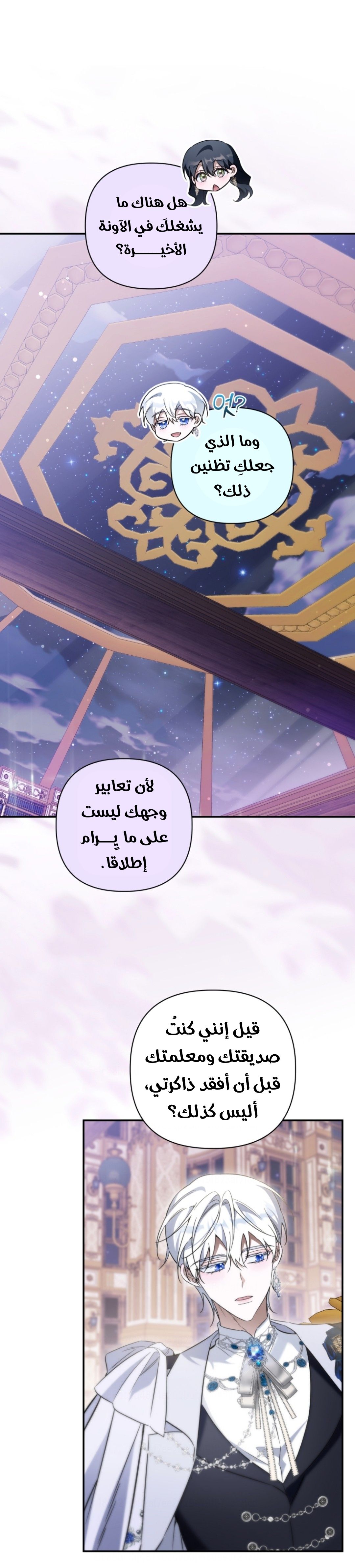 الصفحة 17