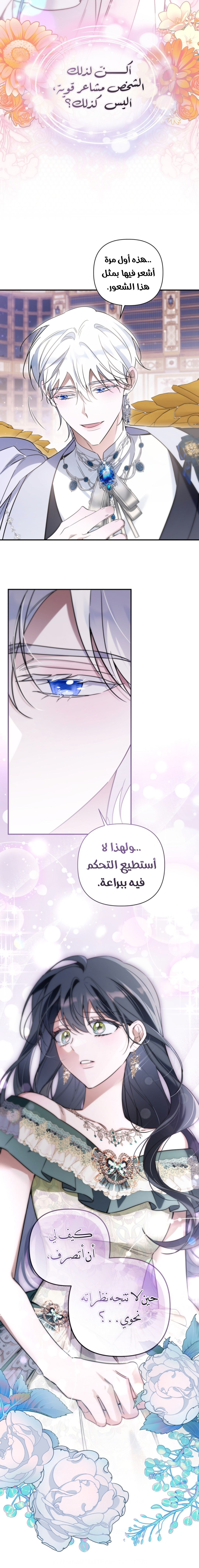 الصفحة 19