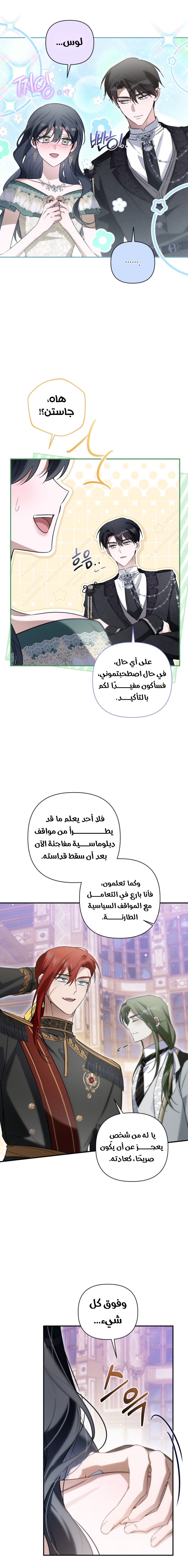 الصفحة 17