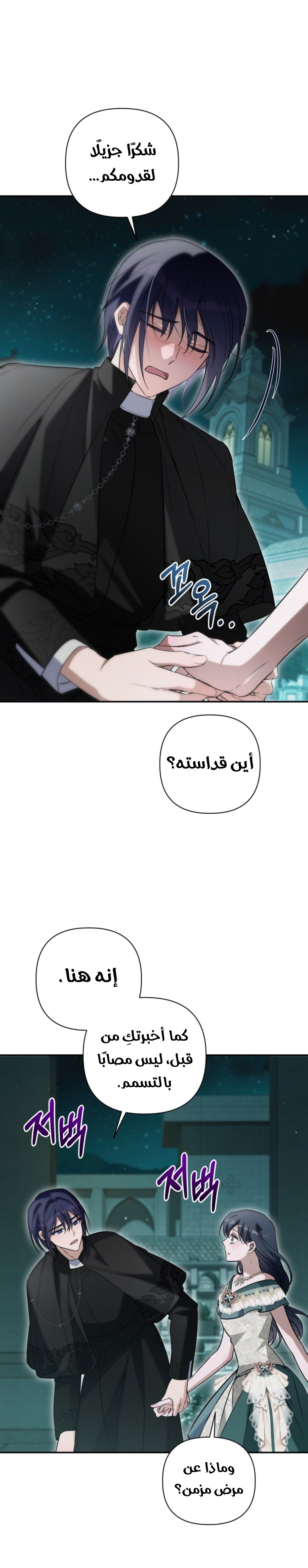 الصفحة 21