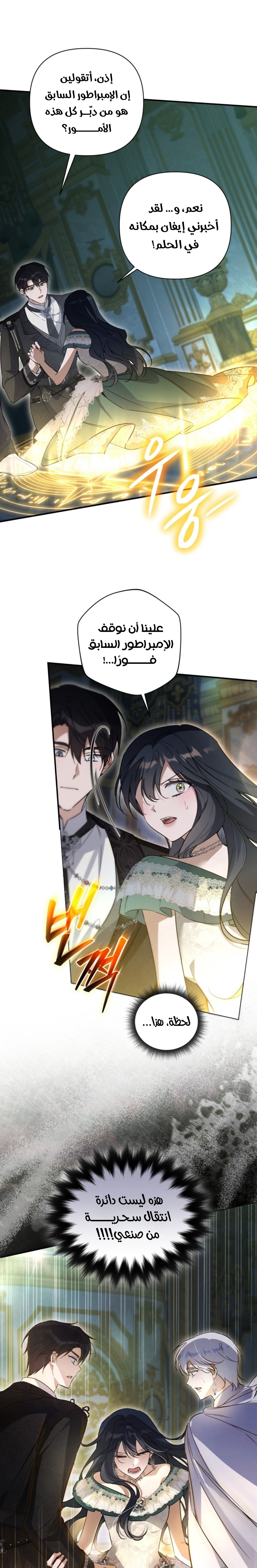 الصفحة 13