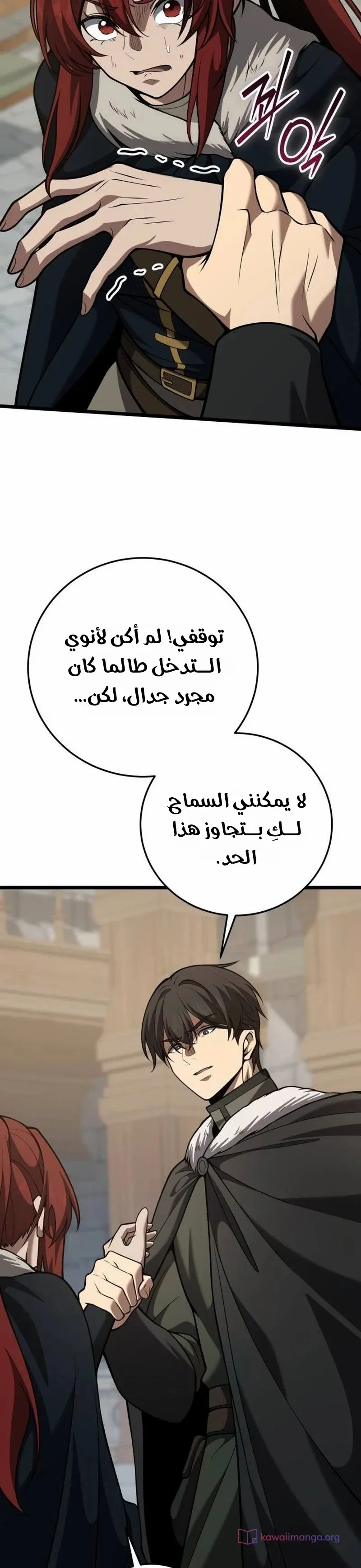 الصفحة 13