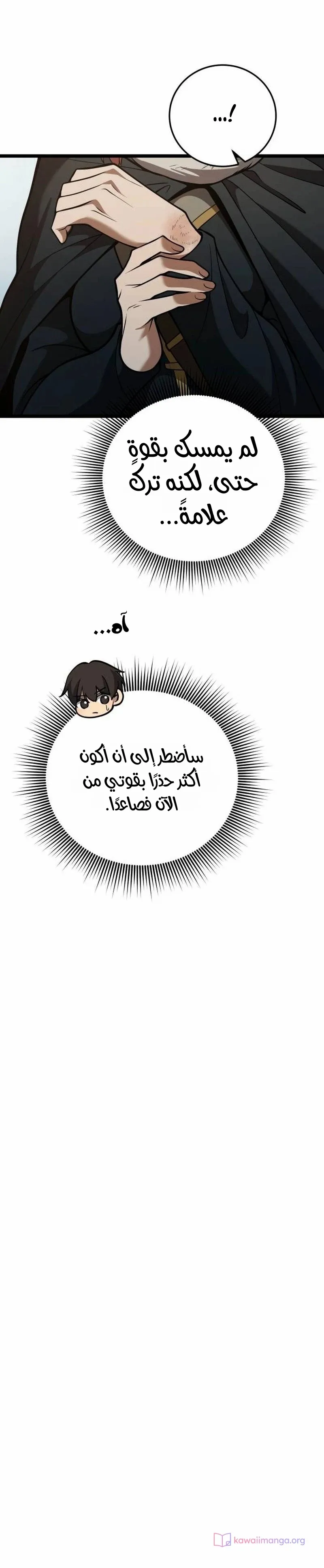 الصفحة 21