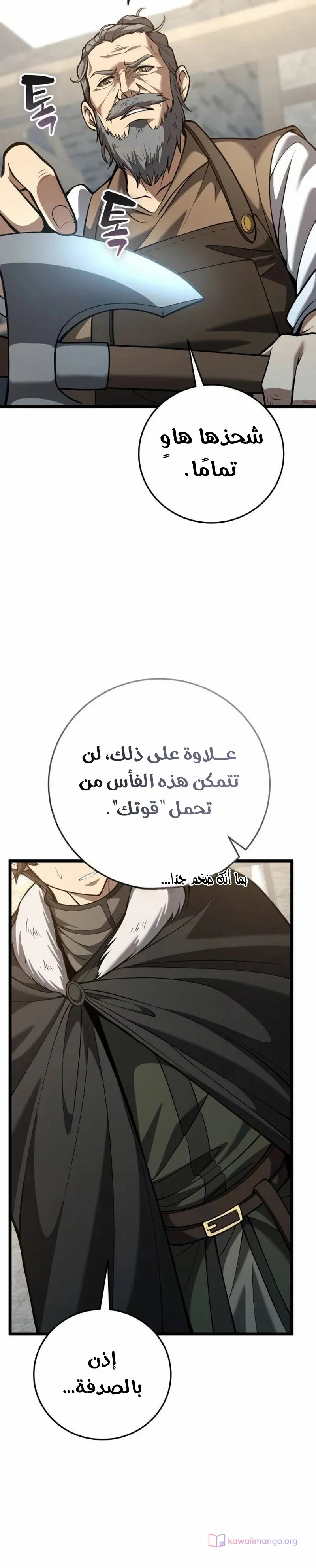 الصفحة 29