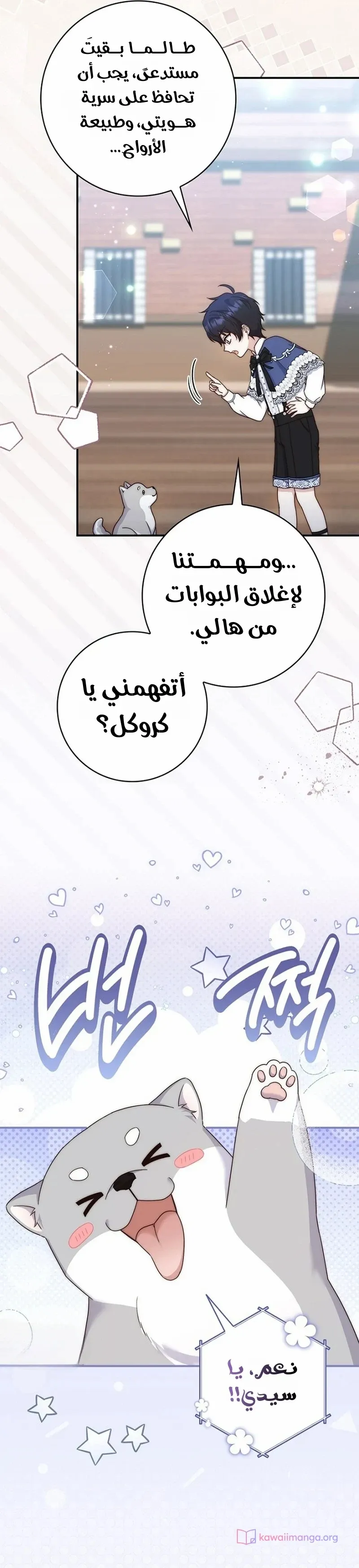الصفحة 9