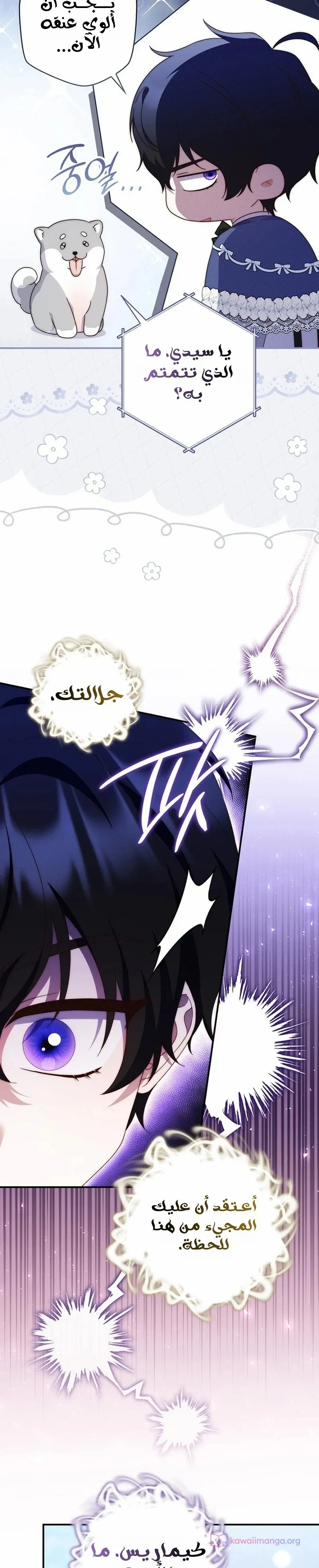 الصفحة 11