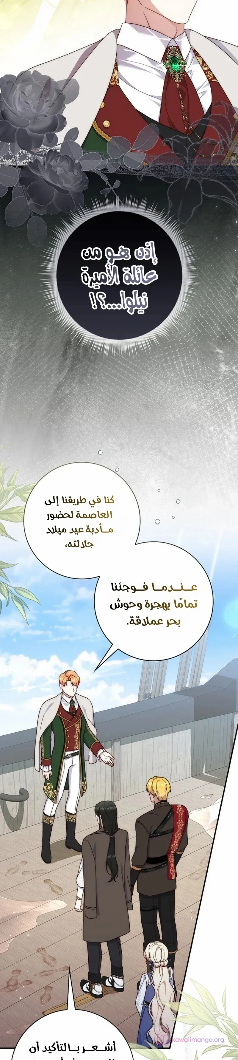 الصفحة 17