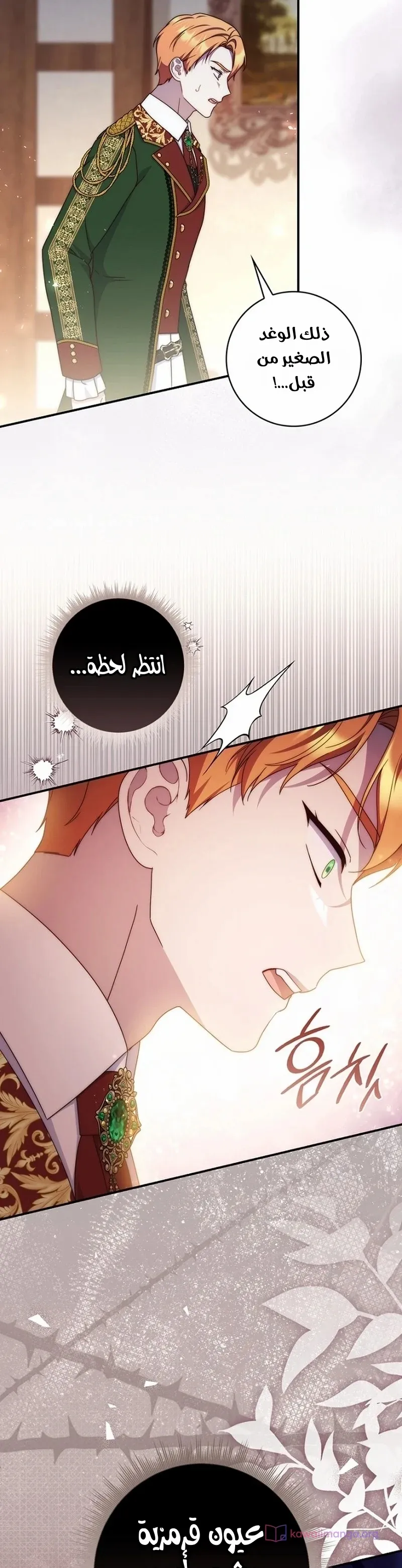 الصفحة 31