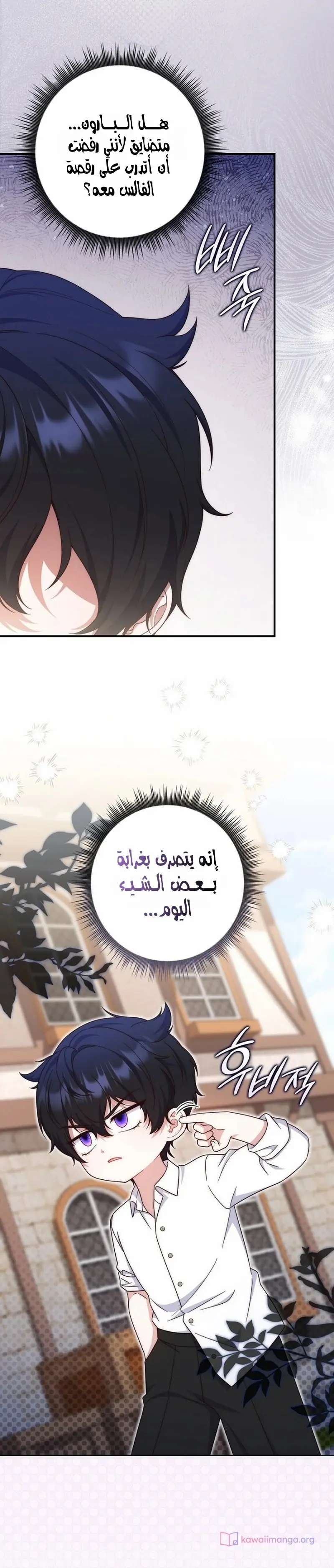 الصفحة 24