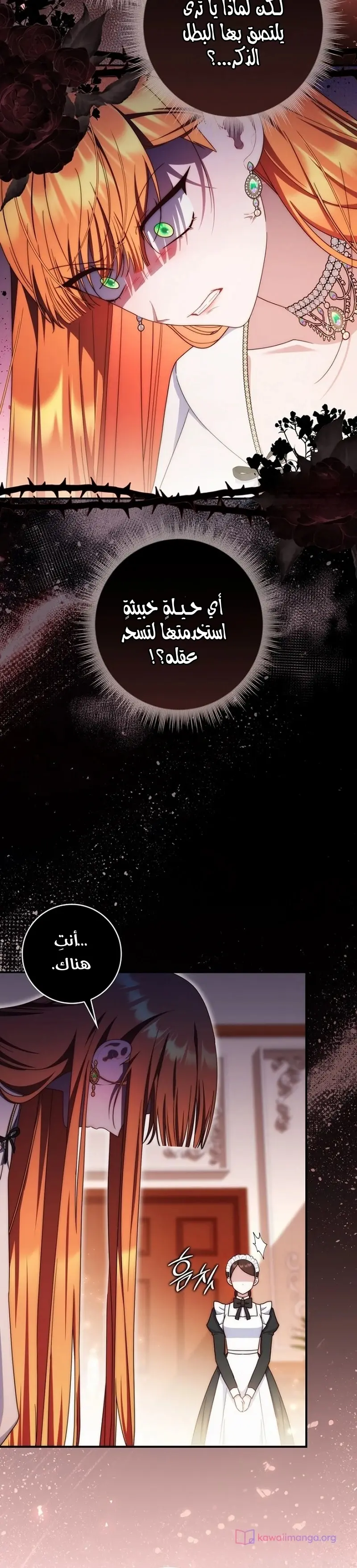 الصفحة 29