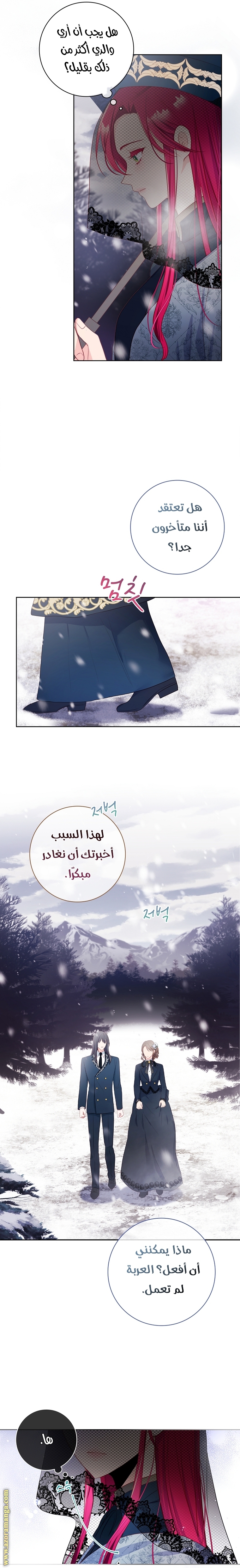 الصفحة 17