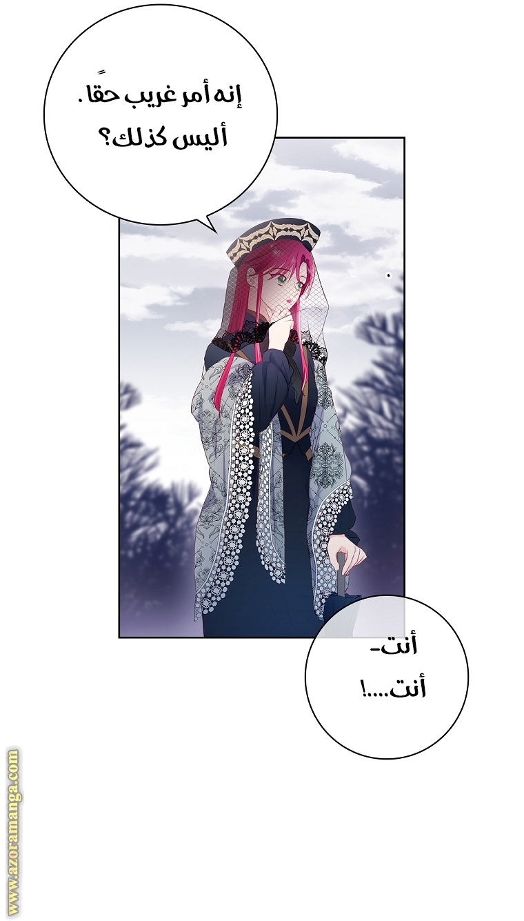 الصفحة 21