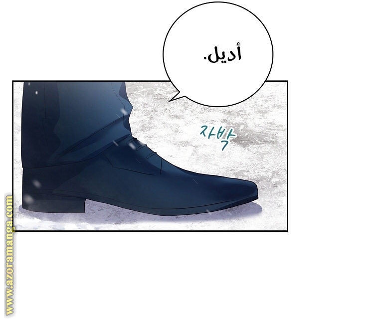 الصفحة 25