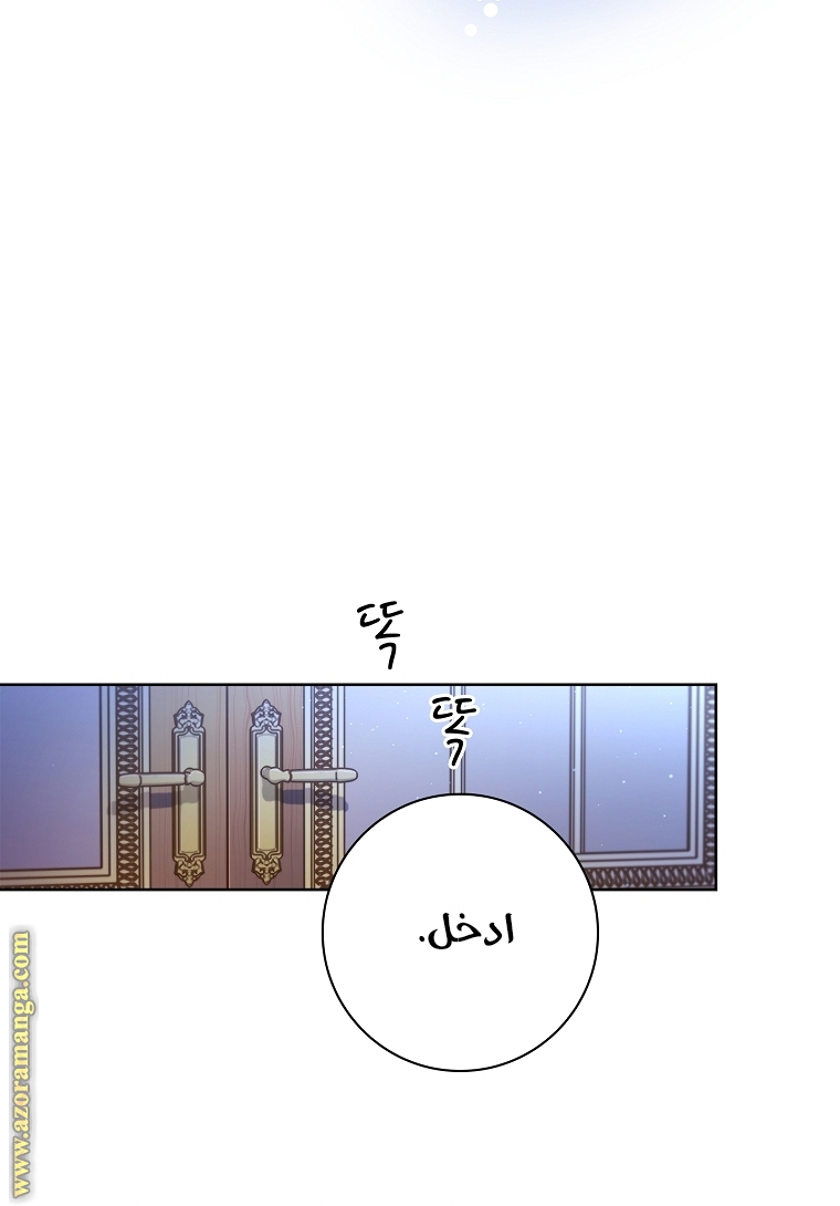 الصفحة 47