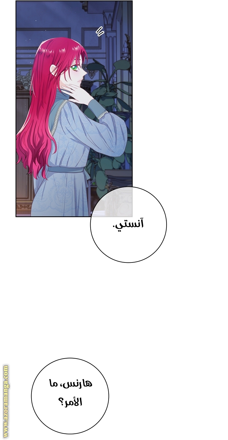 الصفحة 48